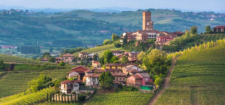 Piemonte sud Est – nelle statistiche e nelle aspettative