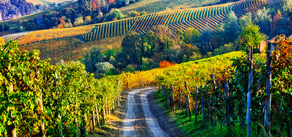 Piemonte 2019 – La Regione più bella